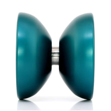 Load image into Gallery viewer, Stingray