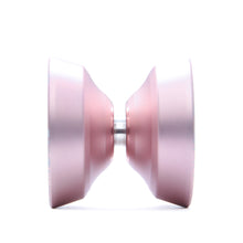 Load image into Gallery viewer, Brillo