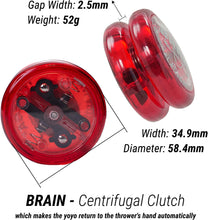 Load image into Gallery viewer, Brain X Spectrum Double Pack