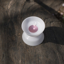 Load image into Gallery viewer, Anotogaster